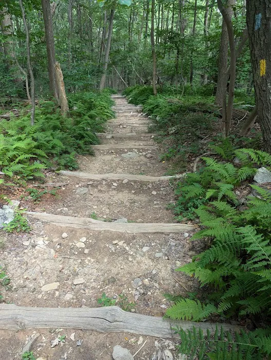 Manor Area - Cunningham Falls State Park 6