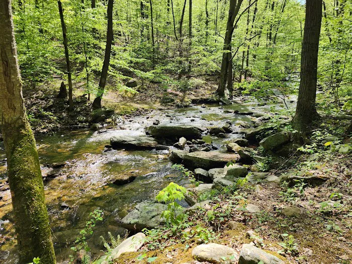 Manor Area - Cunningham Falls State Park 1