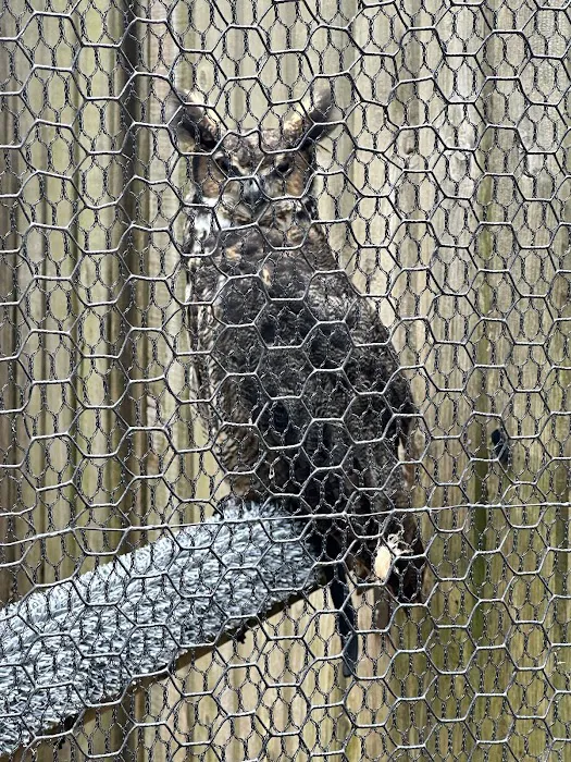 Manor Area - Cunningham Falls State Park 8