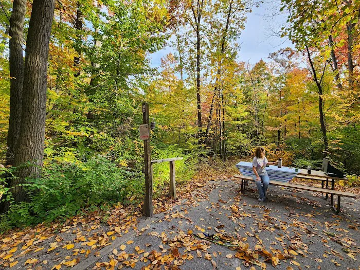 Manor Area - Cunningham Falls State Park 0