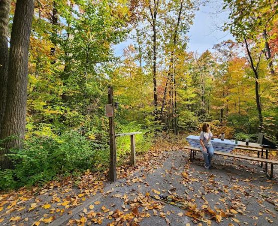 Manor Area - Cunningham Falls State Park