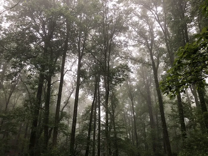 Rock Run Campground 5