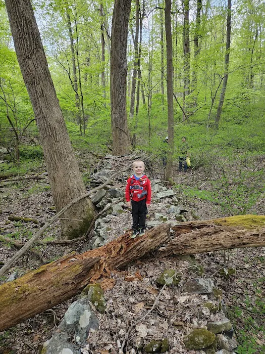 Poplar Grove Youth Group Tent Campground 1