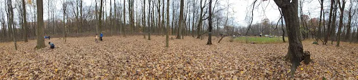 Poplar Grove Youth Group Tent Campground 0