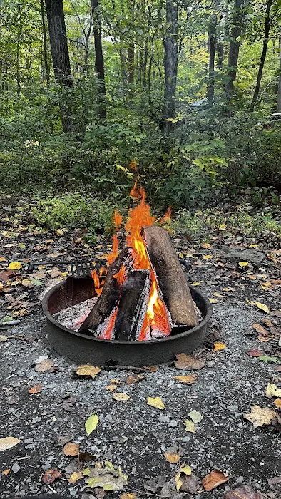 Owens Creek Campground 8