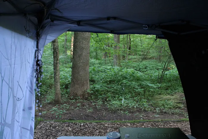 Owens Creek Campground 0