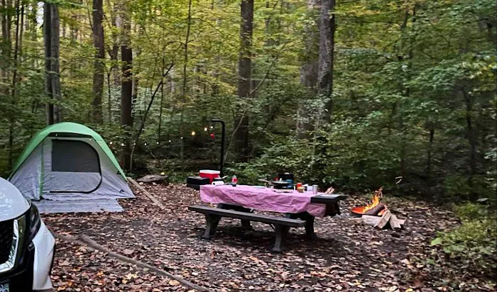 Owens Creek Campground 6