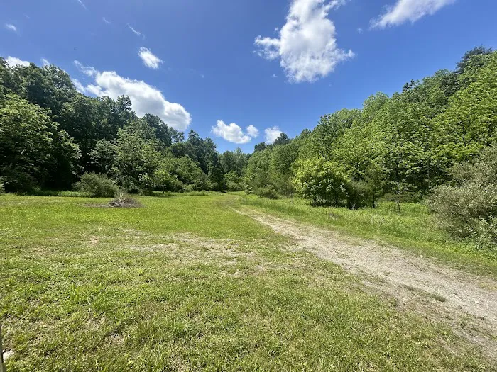 Wilson’s Boondock Hollow 8