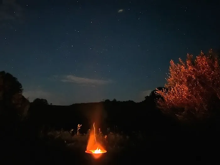 Wilson’s Boondock Hollow 7