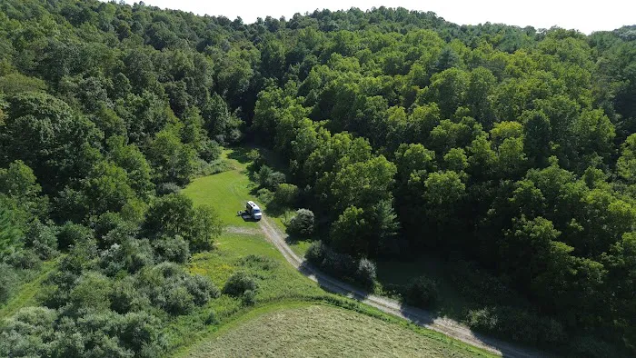 Wilson’s Boondock Hollow 0