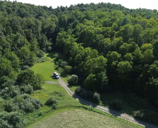 Wilson’s Boondock Hollow