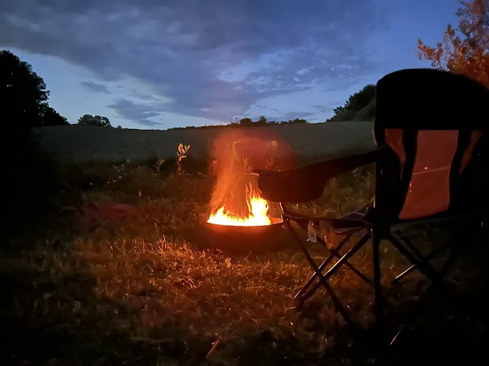 Wilson’s Boondock Hollow 9