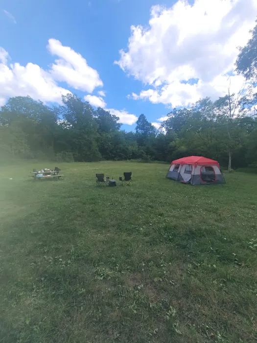 Rothrock State Forest Campsite #1 3