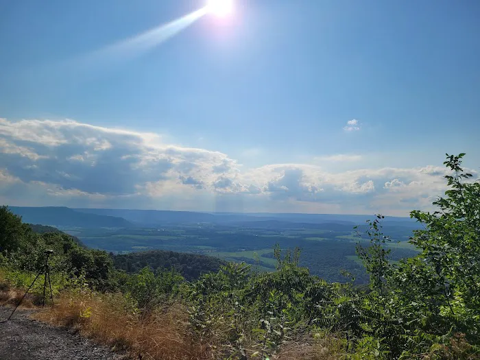Rothrock State Forest Campsite #1 4