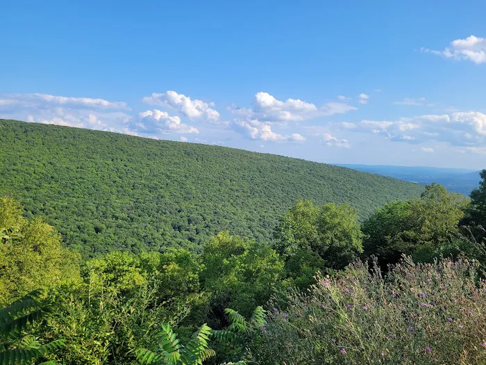 Rothrock State Forest Campsite #1 2