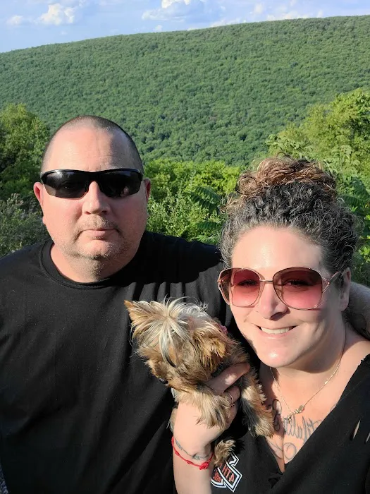 Rothrock State Forest Campsite #1 1