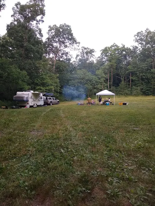 Rothrock State Forest Campsite #1 9