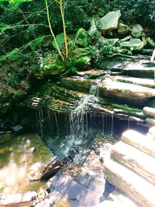 Rothrock State Forest Campsite #1 7