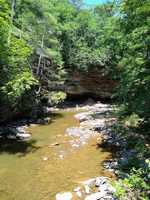 Rothrock State Forest Campsite #1 5
