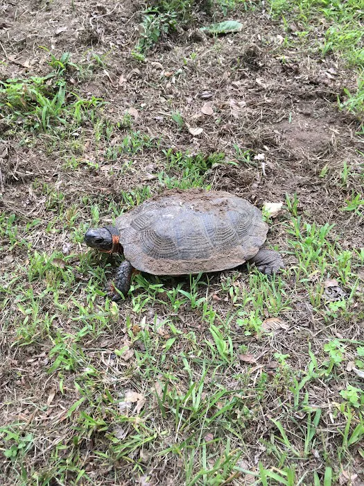 Riverbank Campground 9