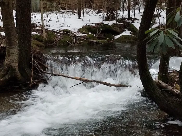 State Game Lands 321 7