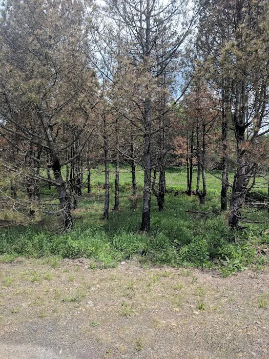 State Game Lands 321 5