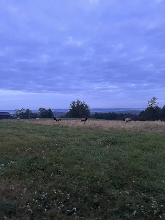 State Game Lands 321 3