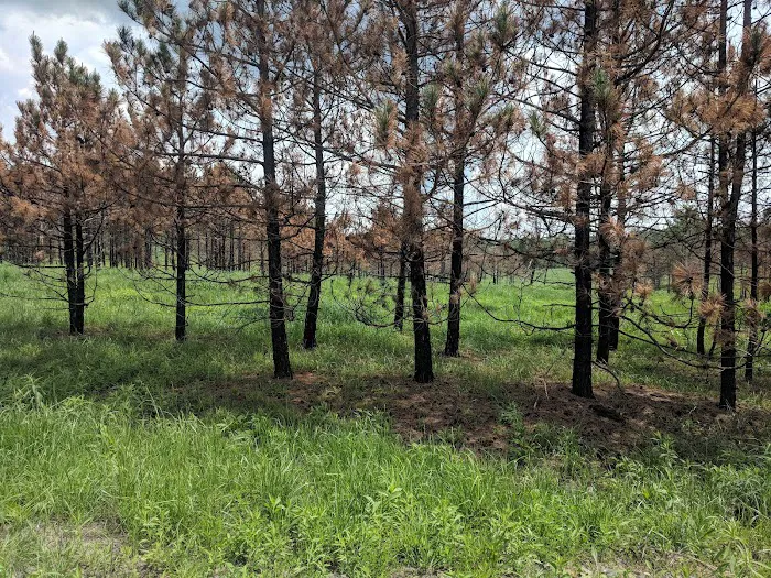 State Game Lands 321 2