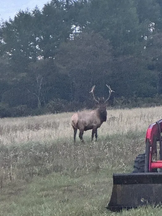 State Game Lands 321 1