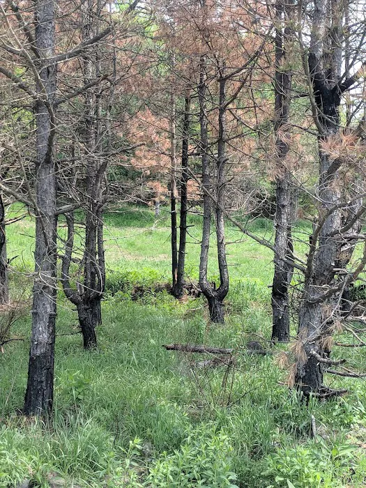 State Game Lands 321 9