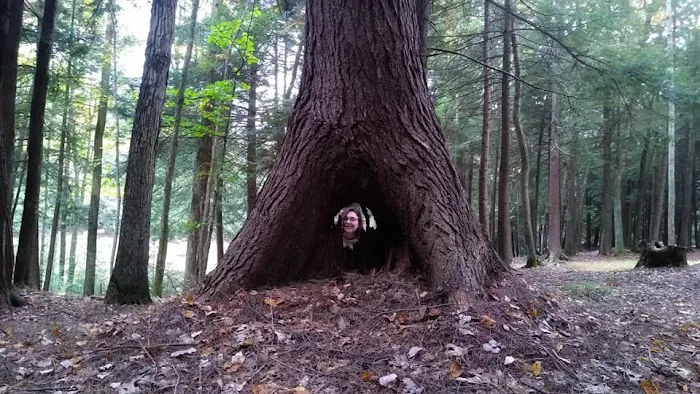 Lauder Family Campground 1