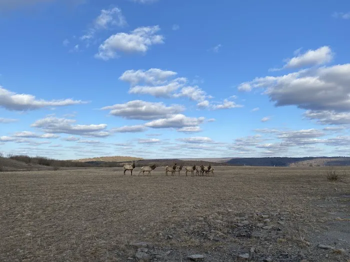 Lauder Family Campground 3