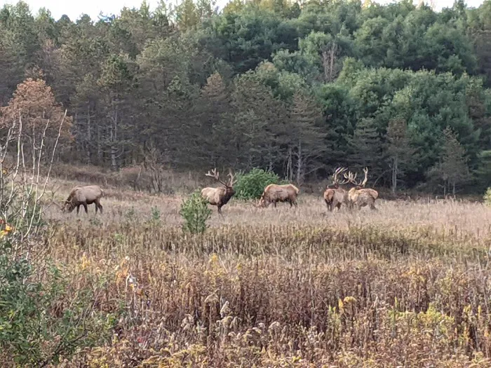Lauder Family Campground 2