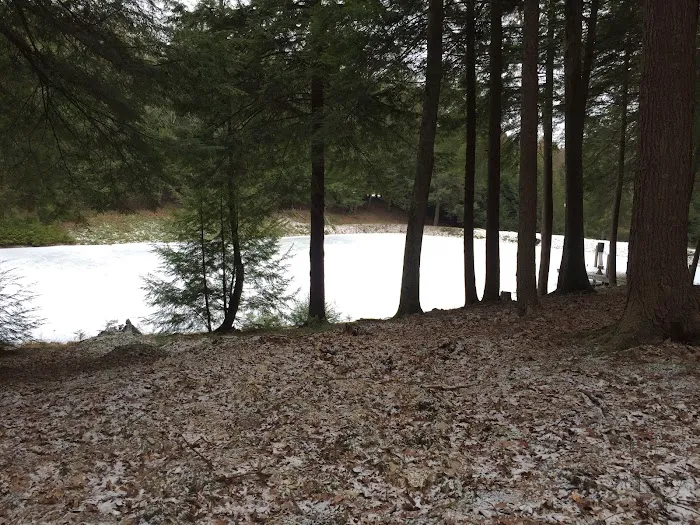 Lauder Family Campground 6