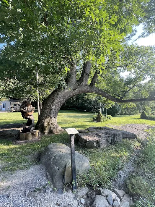 Woodland Campground 9