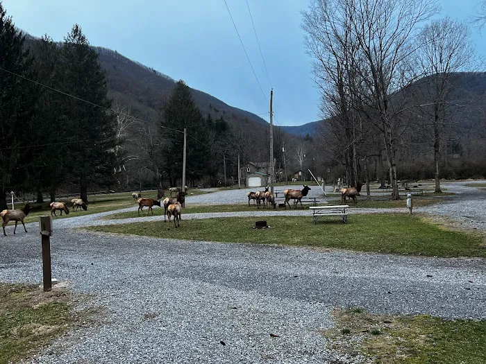 Elk Country Campground 2
