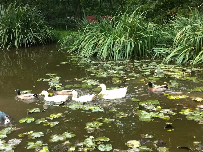 Urban Saddle Ranch 2