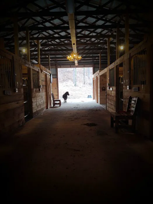 Urban Saddle Ranch 0