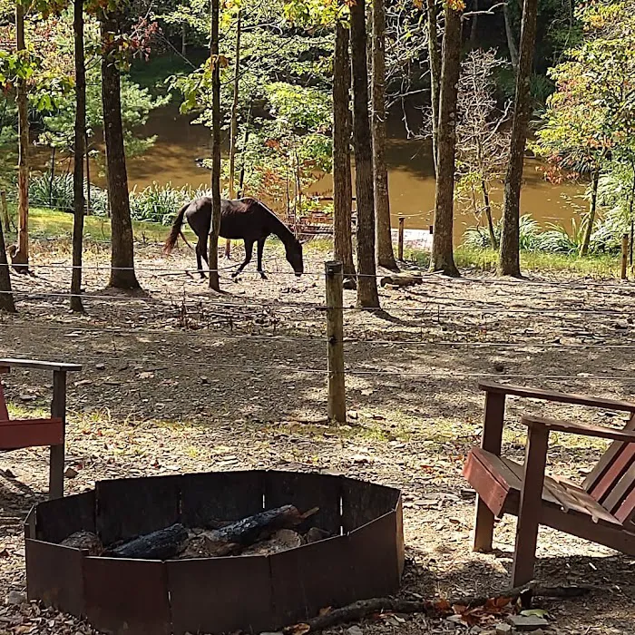 Urban Saddle Ranch 9