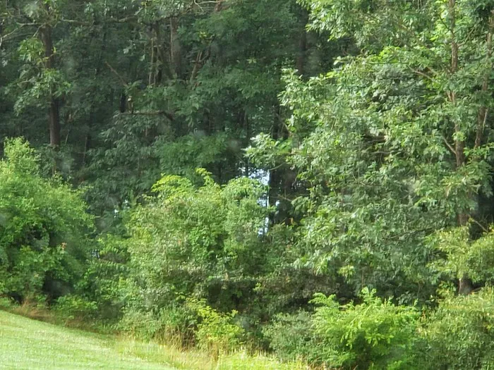 Lake View Trails, Inc. 2