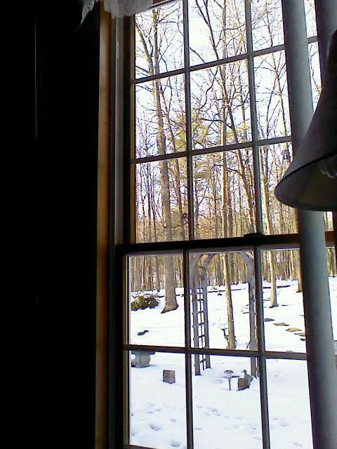 Lake View Trails, Inc. 0