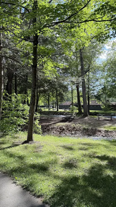 Chinquapin Hill Campground 1