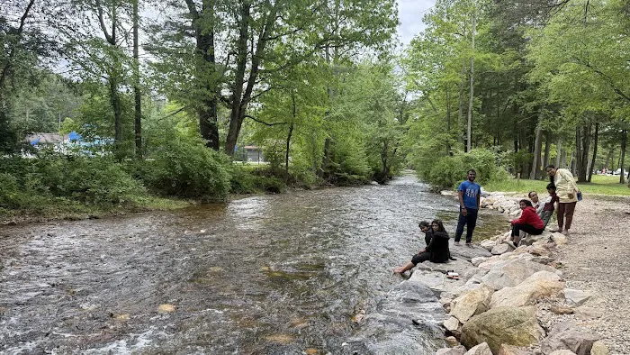Chinquapin Hill Campground 9