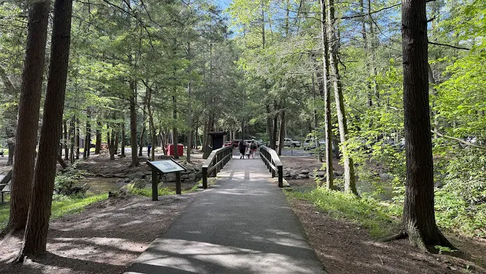 Chinquapin Hill Campground 4