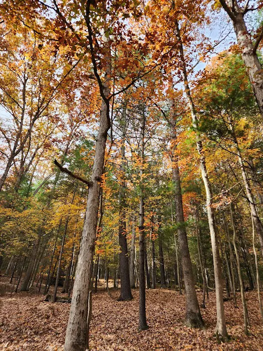 Chinquapin Hill Campground 2
