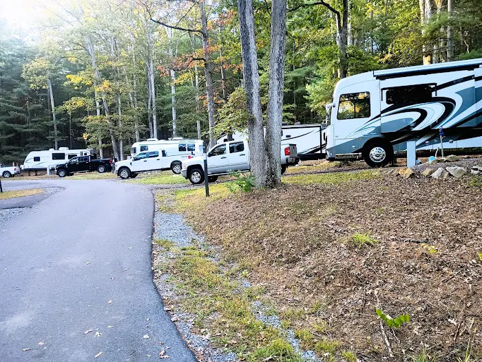 Chinquapin Hill Campground 7