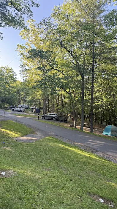 Chinquapin Hill Campground 0