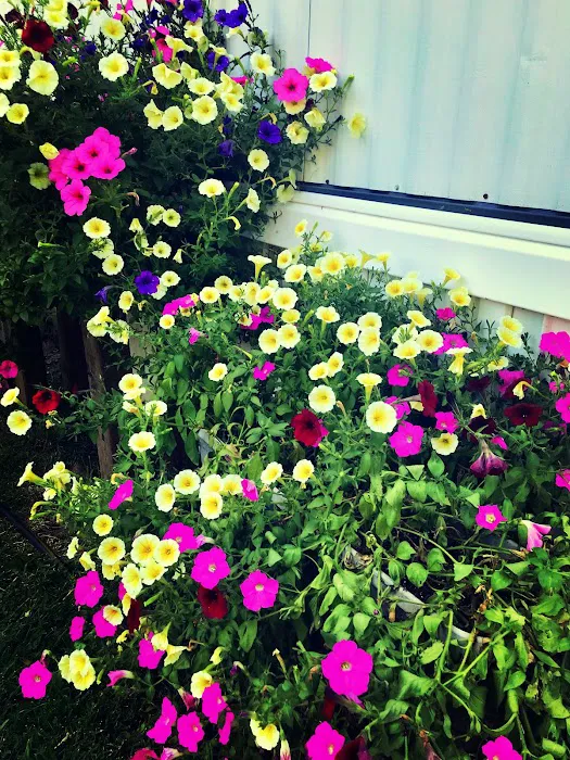 Village Green Manor 6