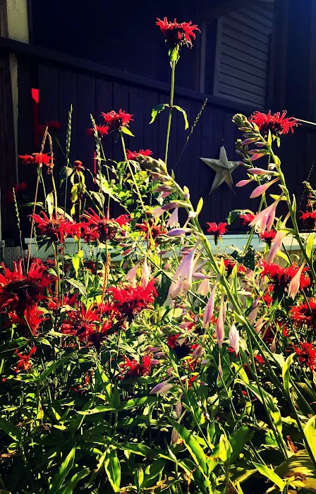 Village Green Manor 0