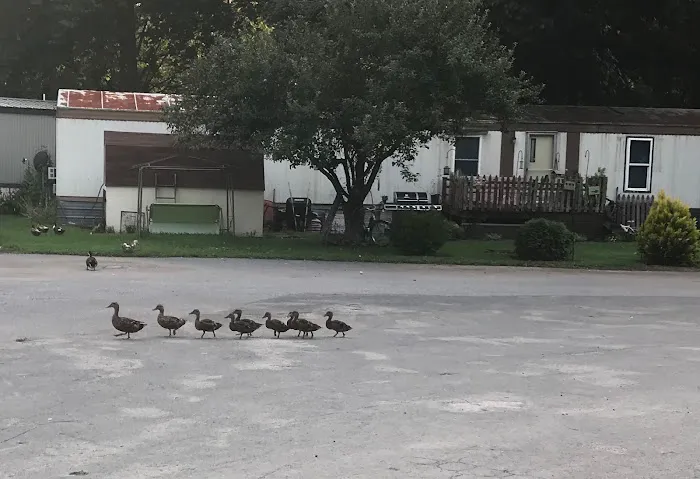 Village Green Manor 3